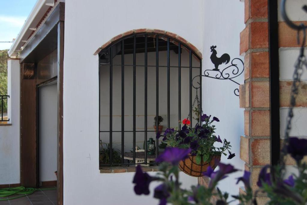 Cueva La Ermita Villa Guadix Buitenkant foto